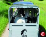 Furgoneta Cheval Touring One – 1.5 PL - Imagen 3