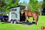 Furgoneta Cheval Touring One – 1.5 PL - Imagen 5