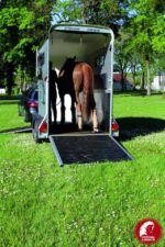Furgoneta Cheval Touring One – 1.5 PL - Imagen 6