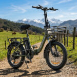 Engwe L20 SE 250W 20" Bicicleta Eléctrica Plegable con 36V 15.6Ah Batería Mini Fat Bike