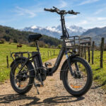 Engwe L20 SE 250W 20" Bicicleta Eléctrica Plegable con 36V 15.6Ah Batería Mini Fat Bike - Imagen 2
